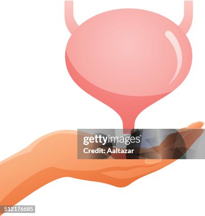 Hand Holding Bladder Hand Holding Bladder