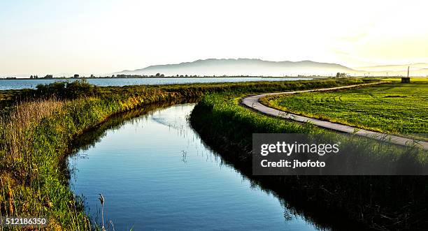 delta de l'ebre - la tancada - delta ebro fotografías e imágenes de stock