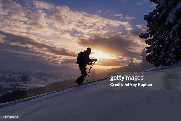 the morning commute... - jackson wyoming foto e immagini stock