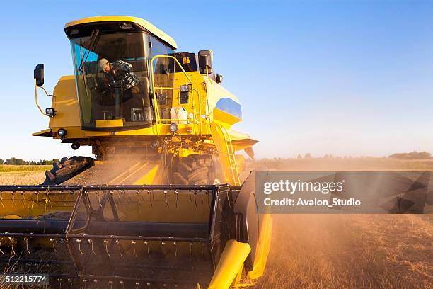 combine harvester - farm machinery stock pictures, royalty-free photos & images