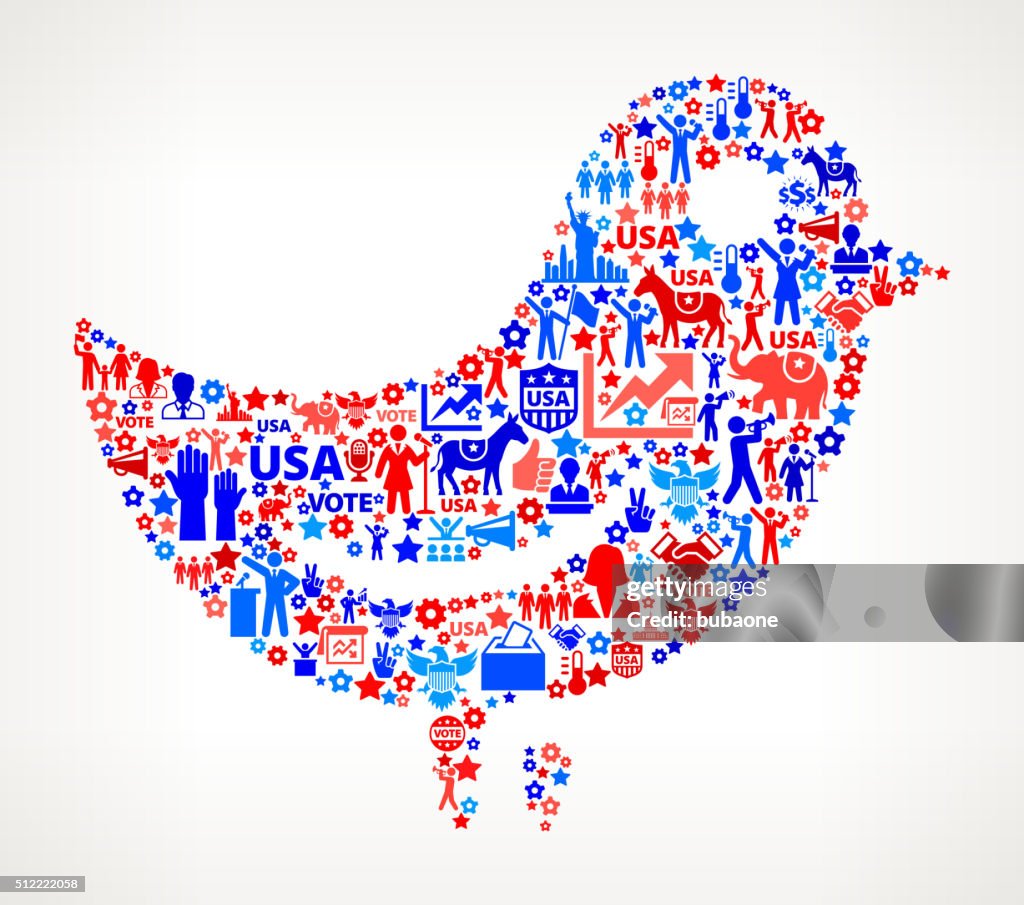 Bird Vote and Elections USA Patriotic Icon Pattern