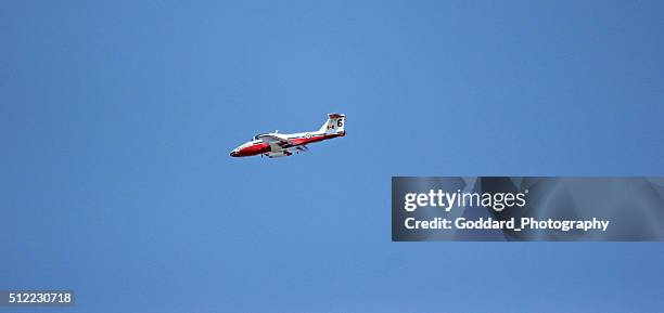 kanada : schneeliebhaber in toronto - canadian forces snowbirds stock-fotos und bilder