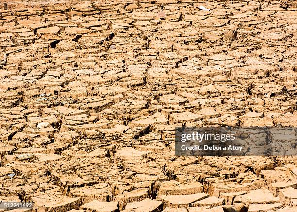 cracked - water crisis stock pictures, royalty-free photos & images