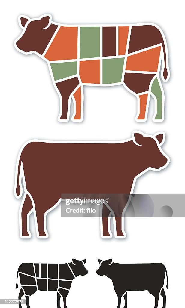 Cow Beef Cuts