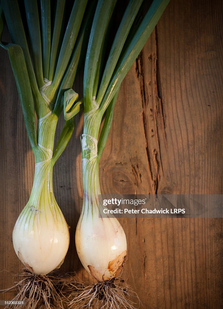 Two onions