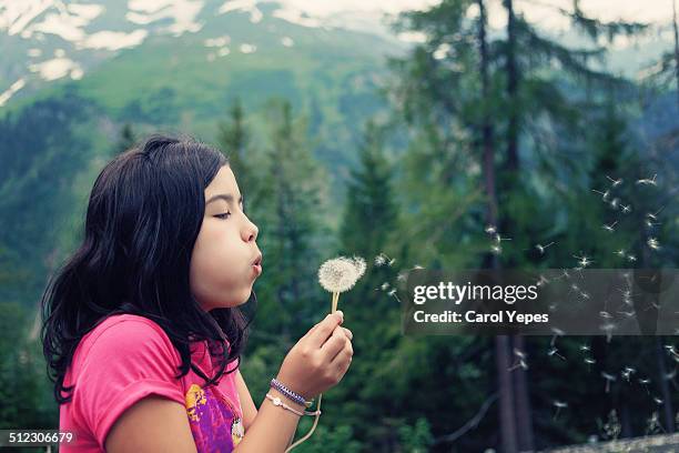 girl blowing dandelion seeds - salzburgo stock-fotos und bilder