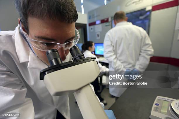 Konstantinos Mavrakis works in the lab at Novartis Institutes for BioMedical Research and the Broad Institute of MIT and Harvard in Cambridge, Mass.,...