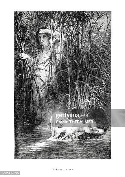 moses on the nile engraving - old testament stock illustrations