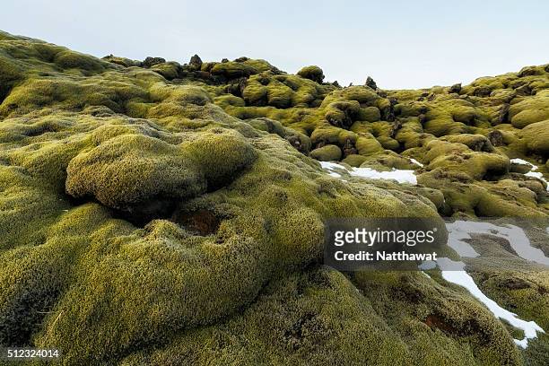 moss covered lava field in southern iceland - lava plain stock pictures, royalty-free photos & images