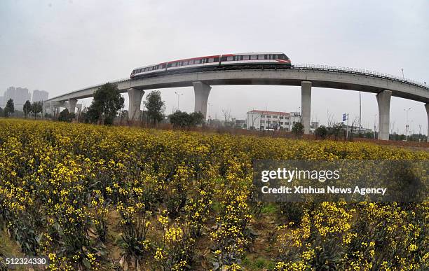 16 Changsha Maglev Stock Photos, High-Res Pictures, and Images - Getty ...