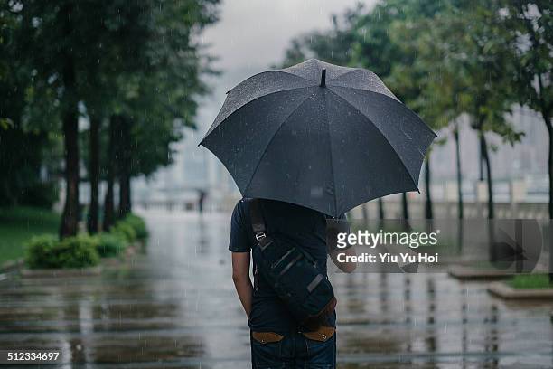 rear view of male holding umbrella in rainy city - chuva imagens e fotografias de stock