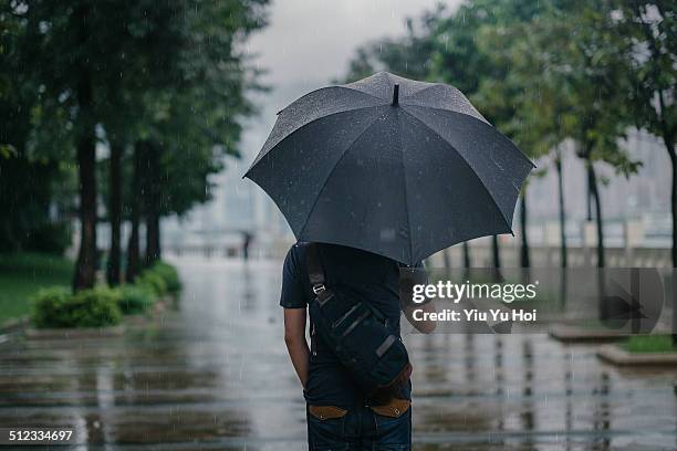 rear view of male holding umbrella in rainy city - umbrella bildbanksfoton och bilder