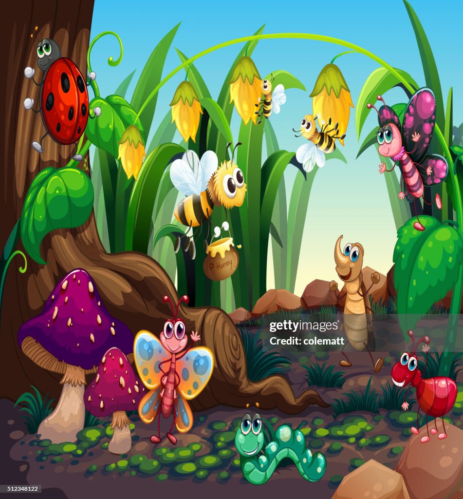 While Many Insects Many Insects Living In The Garden High-Res Vector Graphic - Getty Images