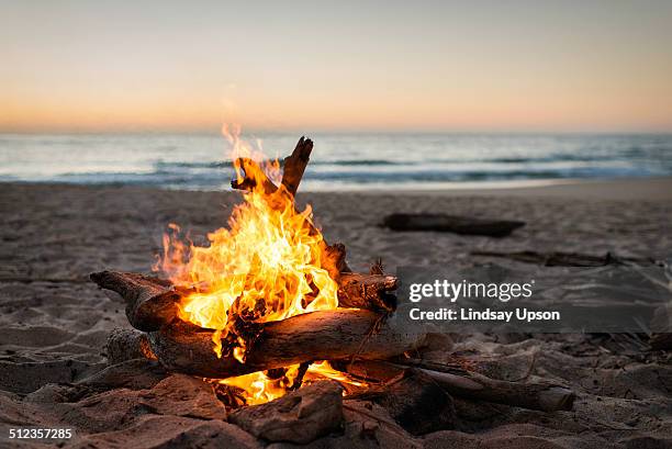 bonfire burning on beach - bonfire stock pictures, royalty-free photos & images