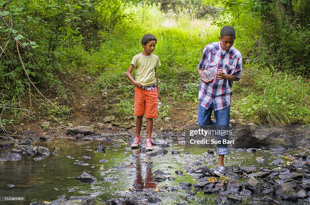 Boys catching fish with jar