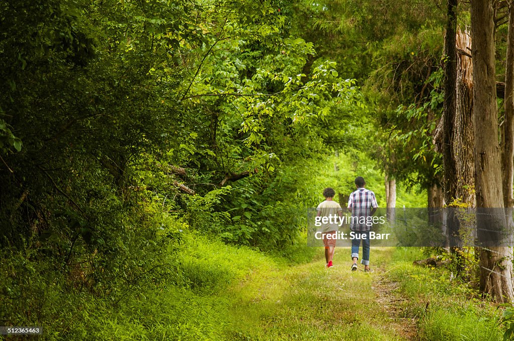 Rear view of boys walking in forest