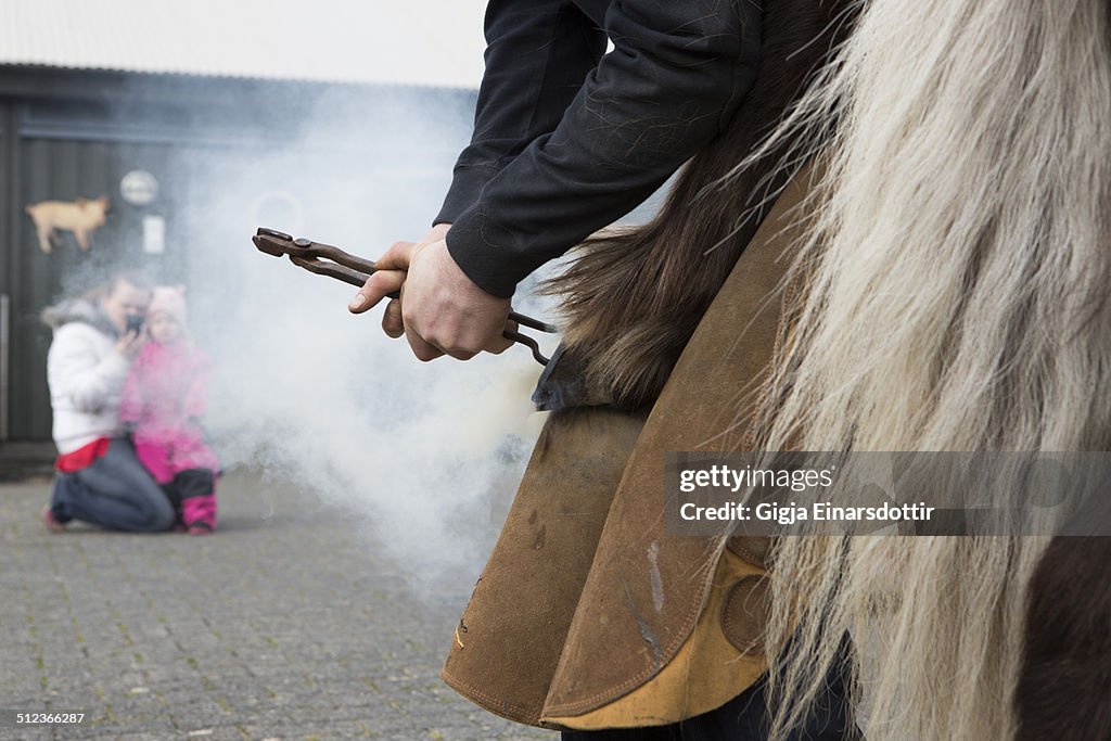 Farrier putting shoes on a horse