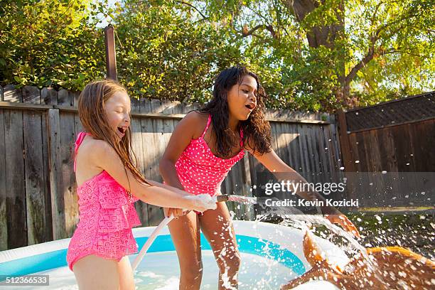 two girls splashing dog with hosepipe in garden paddling pool - runaway dog stock pictures, royalty-free photos & images