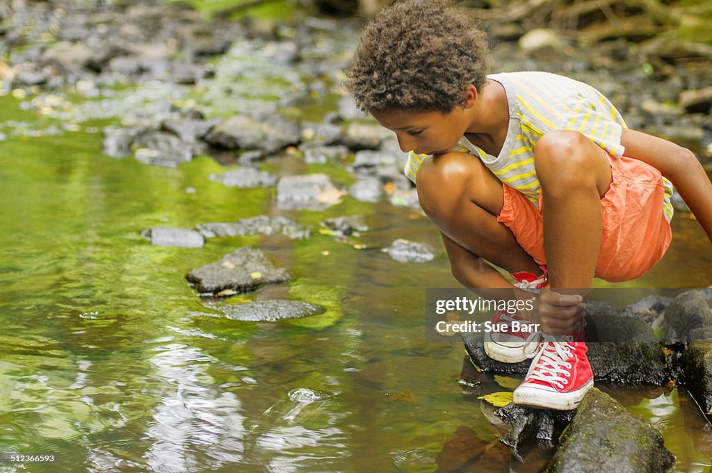 Boy looking for fish in river