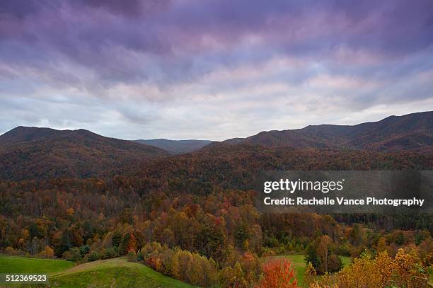 autumn sky - the raleigh bildbanksfoton och bilder