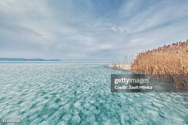 balaton lake - lake balaton winter stock pictures, royalty-free photos & images