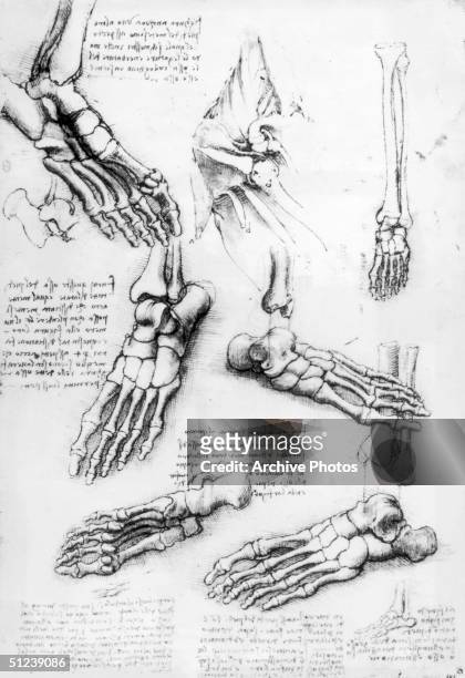 Circa 1509, Leonardo da Vinci . A detail from one of da Vinci's sketchbooks: Bones of the Foot and Shoulder, pen and brown ink with wash over black...