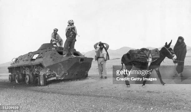 Group of Afghan soldiers with Soviet Army tank stop in the desert with a donkey, Afghan Civil War.