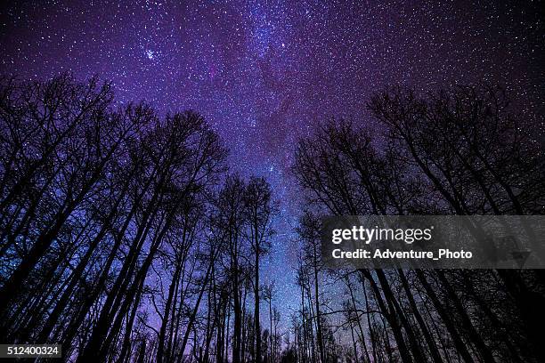 espen und milchstraße nacht-landschaft - astrofotografie stock-fotos und bilder