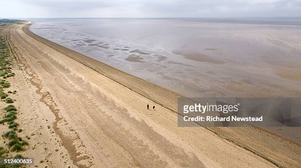 coastline dog walkers - north sea stock pictures, royalty-free photos & images