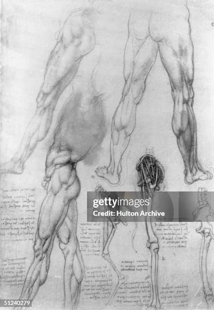 Circa 1500, Human and equine anatomical sketches by the Florentine artist and scientist Leonardo da Vinci .
