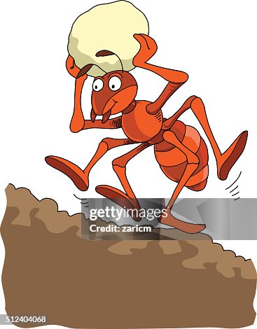 Ant Ant