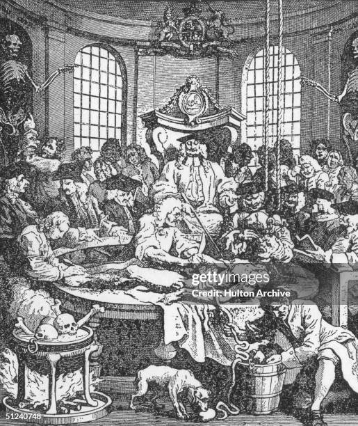 The anatomical dissection of a convicted murderer takes place in the surgeon's hall. In the 18th century, only the bodies of executed criminals could...