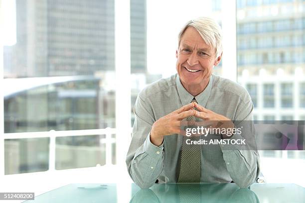 portrait of a senior ceo - chief financial officers stock pictures, royalty-free photos & images