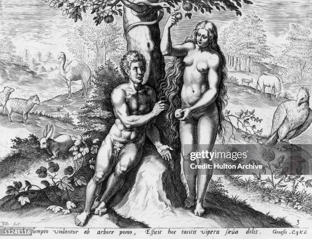 Circa 1650, Eve offers Adam the fruit of the tree of knowledge of good and evil in the garden of Eden. Original Artwork: 'Theatrum Biblicum' by...