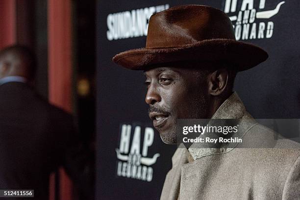 Michael K. Williams attends 'Hap and Leonard' Private Premiere Party. At Hill Country on February 25, 2016 in New York City.