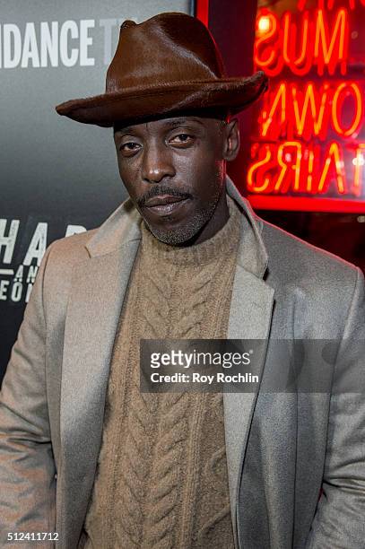 Michael K. Williams attends 'Hap and Leonard' Private Premiere Party. At Hill Country on February 25, 2016 in New York City.