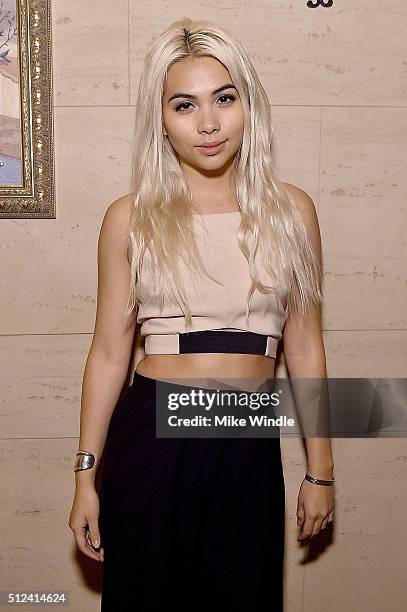 Actress Hayley Kiyoko attends The Dinner For Equality co-hosted by Patricia Arquette and Marc Benioff on February 25, 2016 in Beverly Hills,...