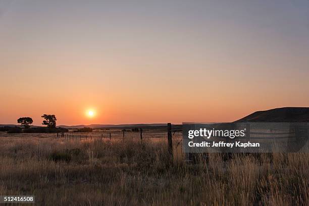 ranch life - lander wyoming stock pictures, royalty-free photos & images