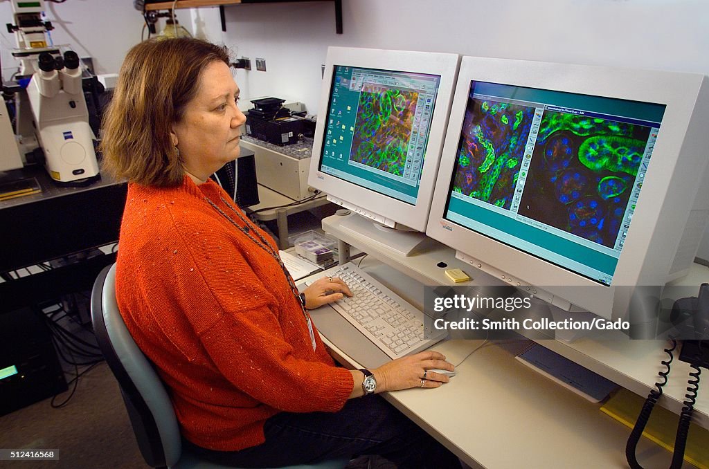 Cdc Scientists At Work