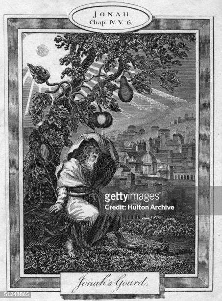 Circa 1750, The prophet Jonah sits under a tree laden with gourds. Original Artwork: Jonah Chapter IV, V6