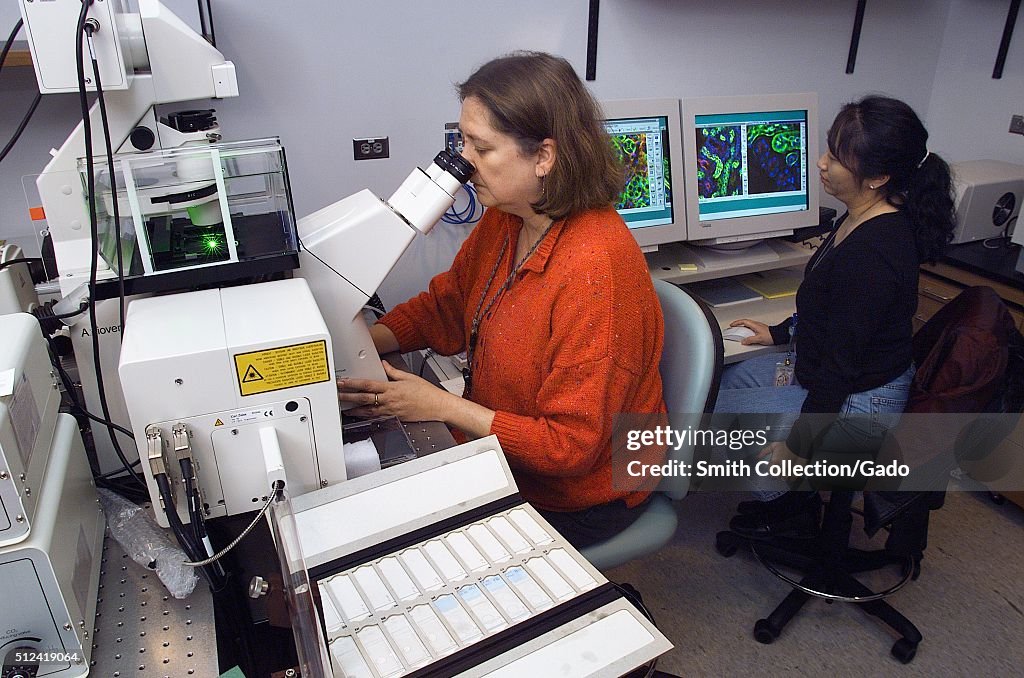 Cdc Scientists At Work