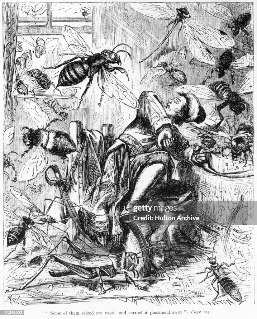 Gulliver's Insects