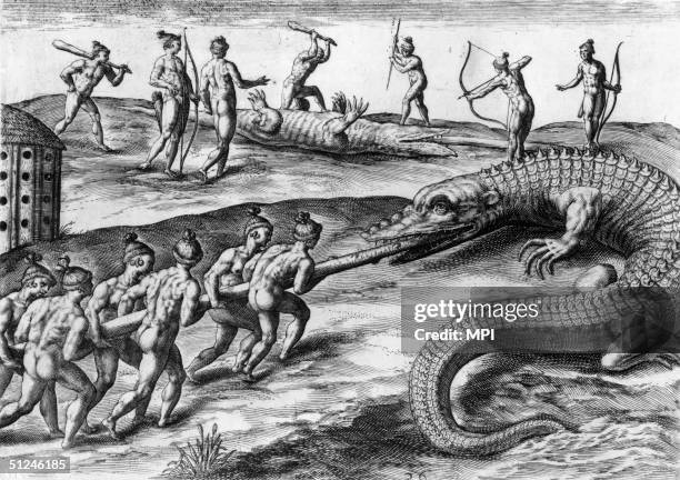 Circa 1650, The manner in which the Seminole Indians kill the alligators which prove a constant menace: one man hides in a small hut perforated with...