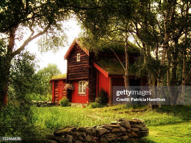 cabin retreat - brief - cabin norway stock pictures, royalty-free photos & images