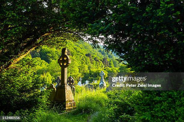 the cemetery at the glendalough monastic site in country wicklow, ireland - celta foto e immagini stock