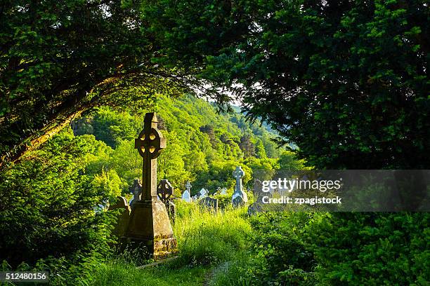 the cemetery at the glendalough monastic site in country wicklow, ireland - cruz celta imagens e fotografias de stock