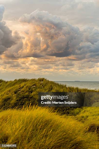sunset above dune landscape - marram grass stock pictures, royalty-free photos & images