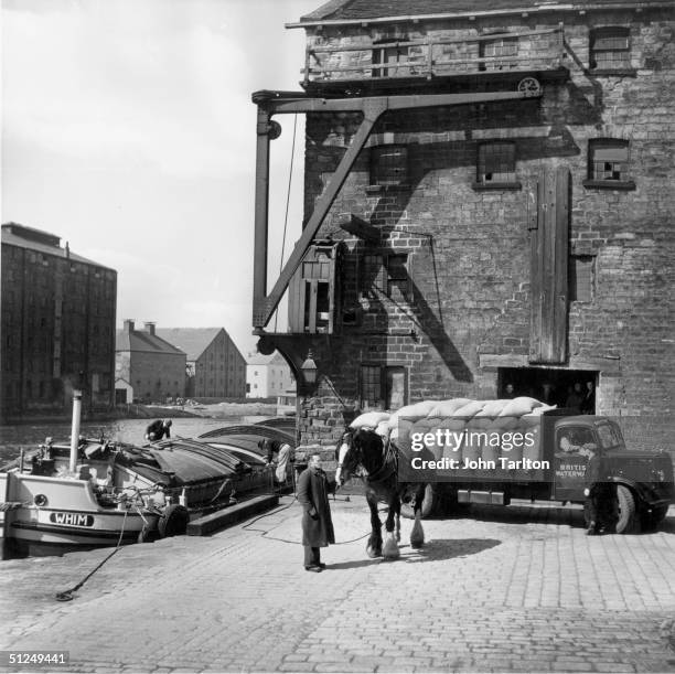 Circa 1955, British Waterways Transport unloading cocoa beans for Rowntrees factory at Wakefield in Yorkshire. A barge is moored on the quayside with...