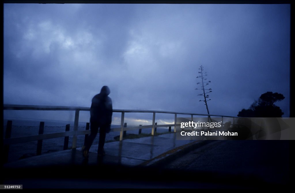 Scenes In The Winter Light Of Australia