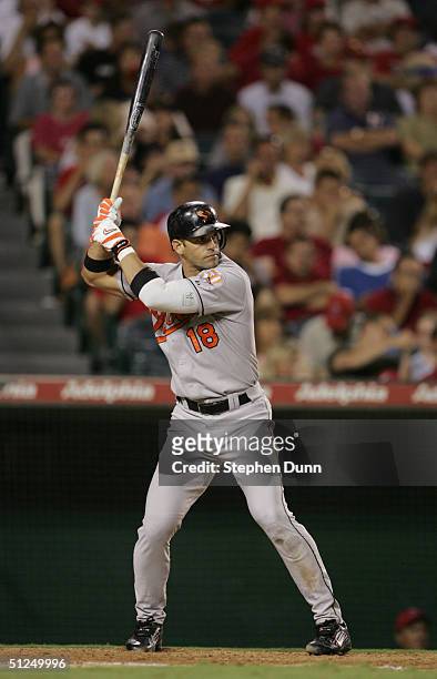 Javy Lopez of the Baltimore Orioles stands ready at bat during the game against the Anaheim Angels on August 10, 2004 at Angel Stadium in Anaheim,...